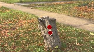 Raheem News PKG Drunk Driving
