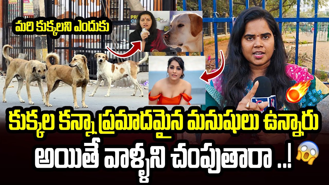 “Humans Are More Dangerous Than Dogs!” | Lady FIRES on Dog Haters 🔥