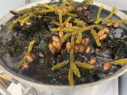 Dyeing Traps With