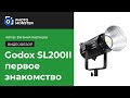 Godox SL200II - первое знакомство