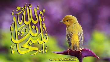 تلاوة رائعة سورة المجادلة امام الحرم النبوي الشيخ علي الحذيفي www.qoranet.net