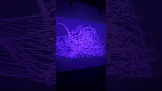 Chroma - Playing with the Kinect Projection