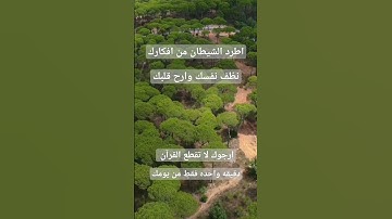 قراءه خاشعه ماهر المعيقلي #القرآن_الكريم #تلاوات #quran