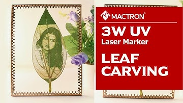 Mactron Laser | 3W UV Laser Marking Machine Engraving on Leaf