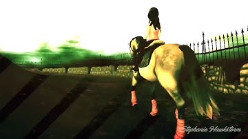 WildCard - Part 5 - SSO MEP