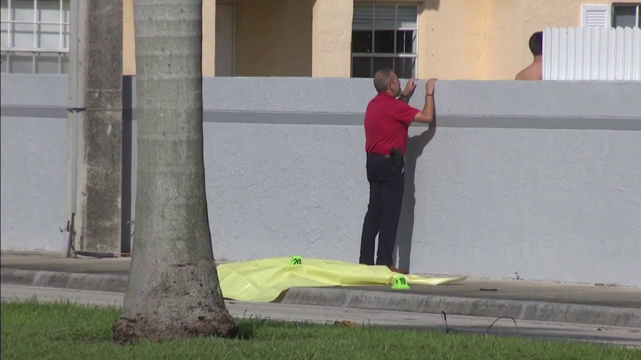 Pedestrian killed in Miami-Dade hit-and-run crash early Friday - YouTube