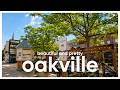 Oakville, Ontario Walking Tour 4K 🚶♂️ Cozy Small-Town Charm & Busy Sunday Vibes 🇨🇦