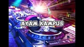 AYAM KAMPUS (STEVI THOMAS REMIX) VOCAL RIAN JUNIOR 2024 NEW!!!!