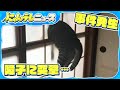 【事件】遊びたいネコが驚きの行動…「見たことない光景」