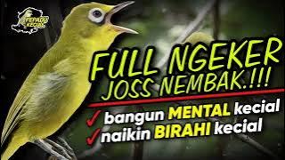 Download lagu Masteran Kecial Kuning FULL NGEKER Ampuh Bikin Kecial Naik BIRAHI Dan MENTAL Kuat‼️| PEPADU KECIAL