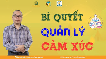 ✅ Bí Quyết Quản Lý Cảm Xúc Trong 30 Giây: Phương Pháp Tứ Giác | Thầy Trần Việt Quân