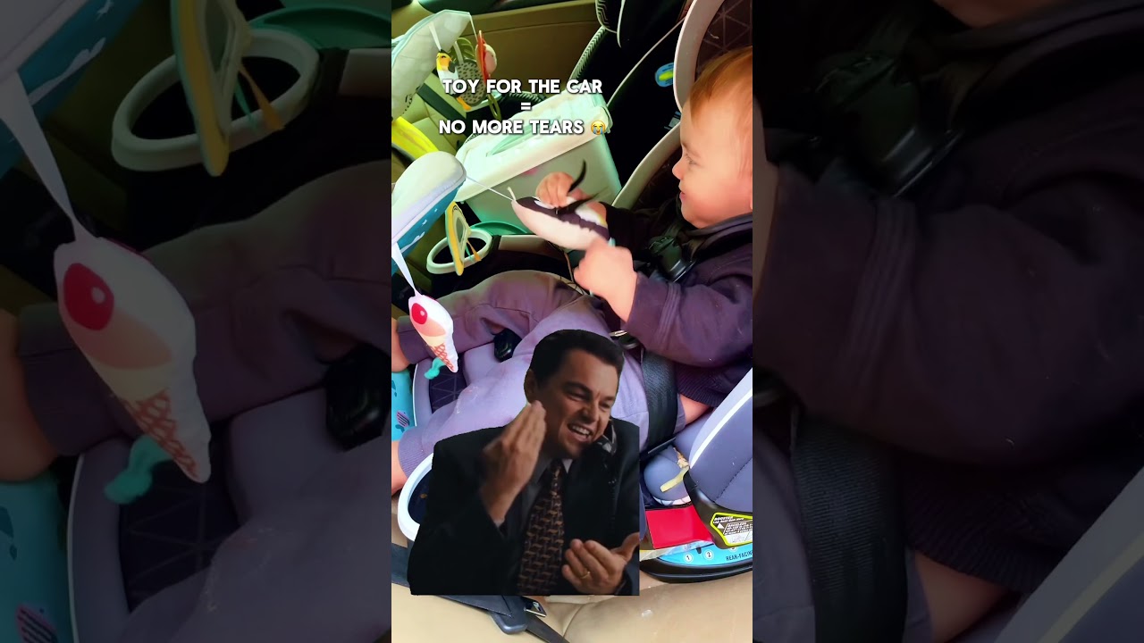 Lifesaving Car Seat Toy for Babies & Toddlers | Taf Toys Review