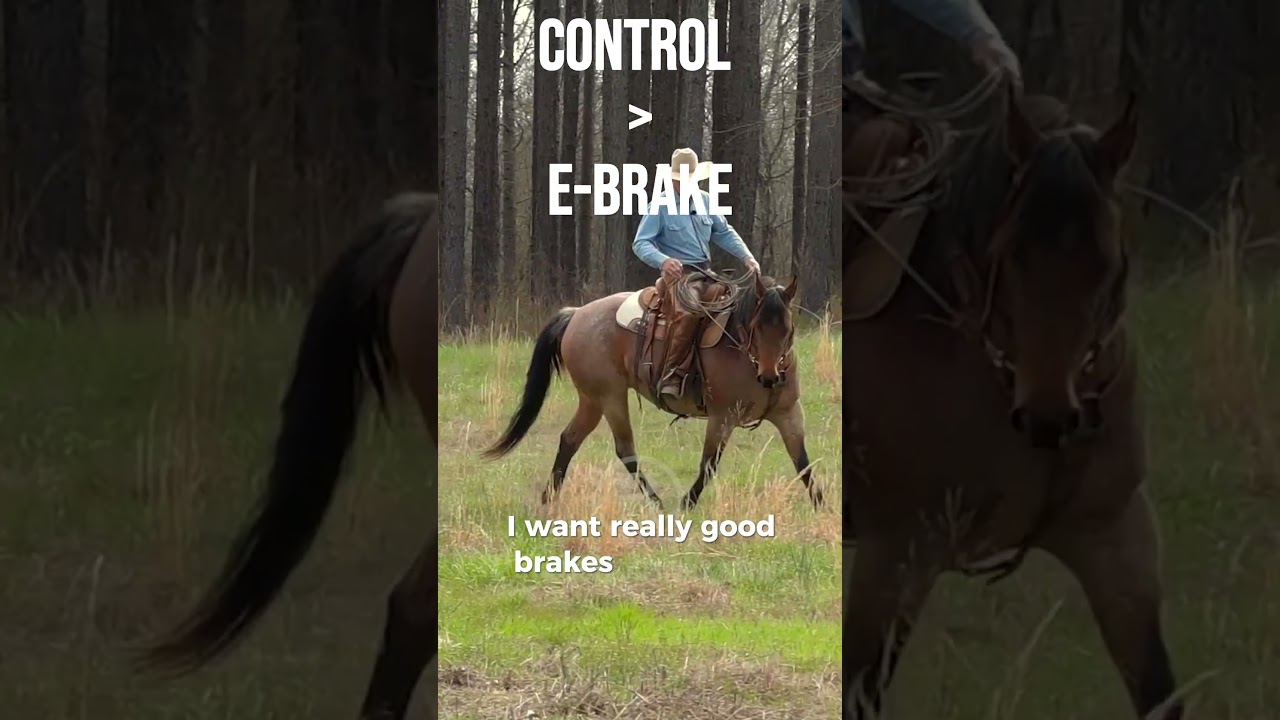 E-brake vs control