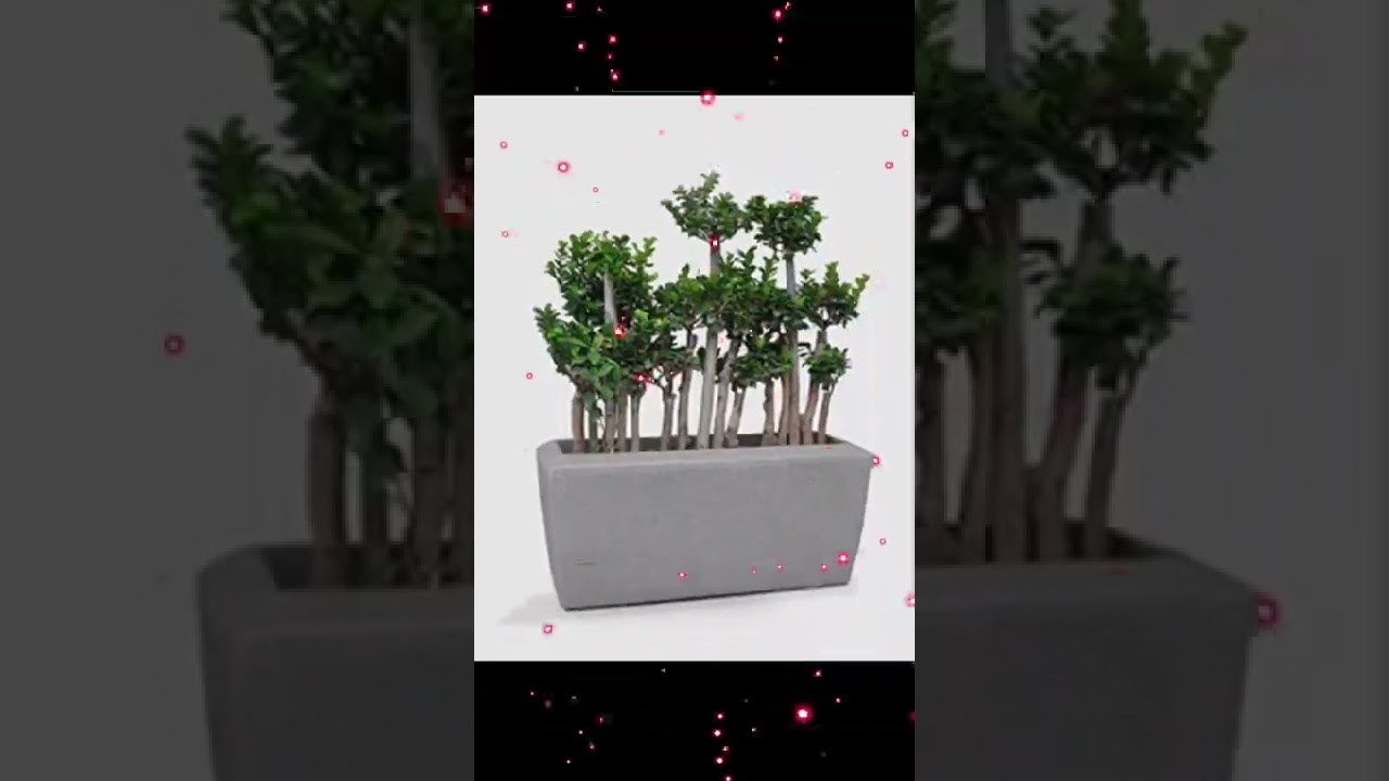 plastic pots and fiber planters