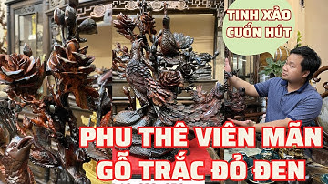 Thưởng trà ngắm Tượng Phu Thê viên mãn gỗ Trắc đỏ đen cùng Tượng gỗ Vương Thao