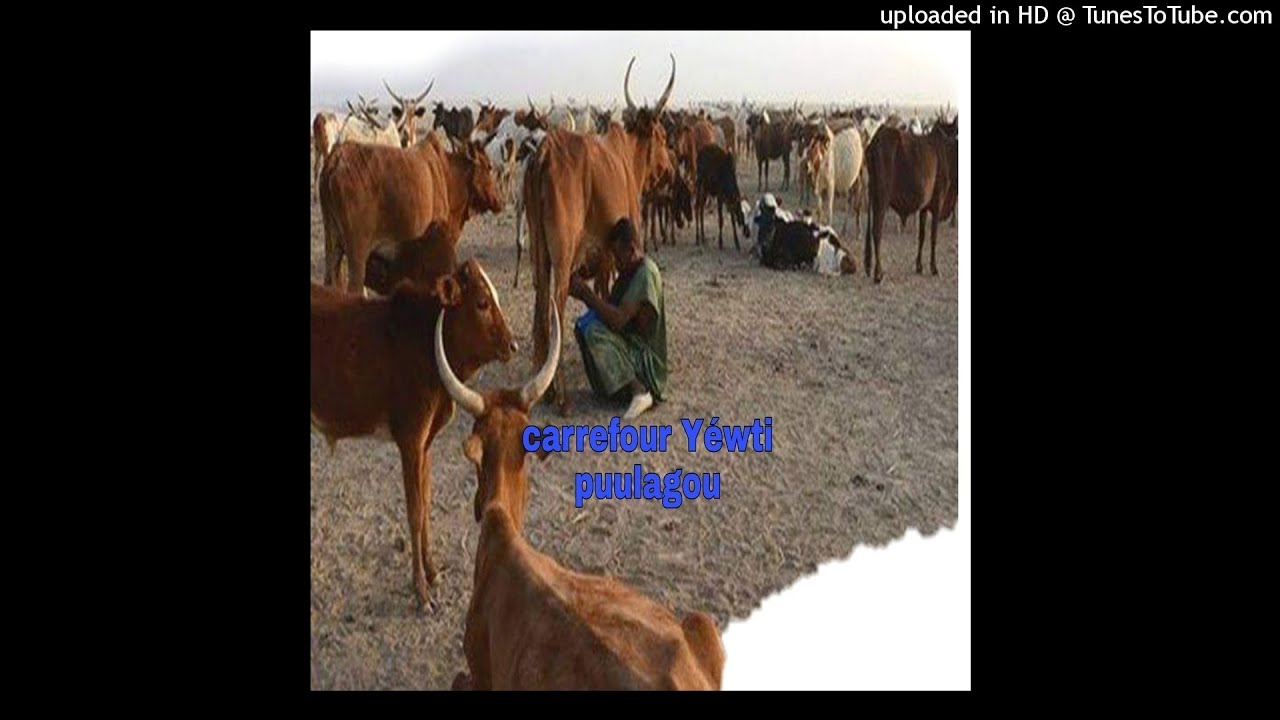 boubou daly cassette (samba nene hawa)