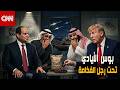 شويا بالمصري بوس الأيادي تحت رجل الفخامة 