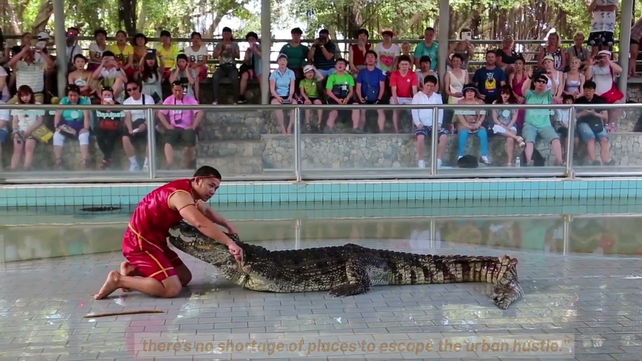 10 Things You Didn't Know About The Bronx