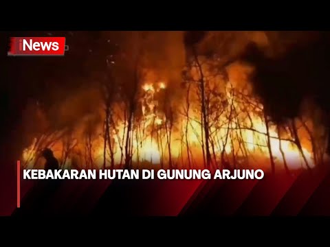 Kebakaran Hutan di Gunung Arjuno Kab. Pasuruan, Jawa Timur