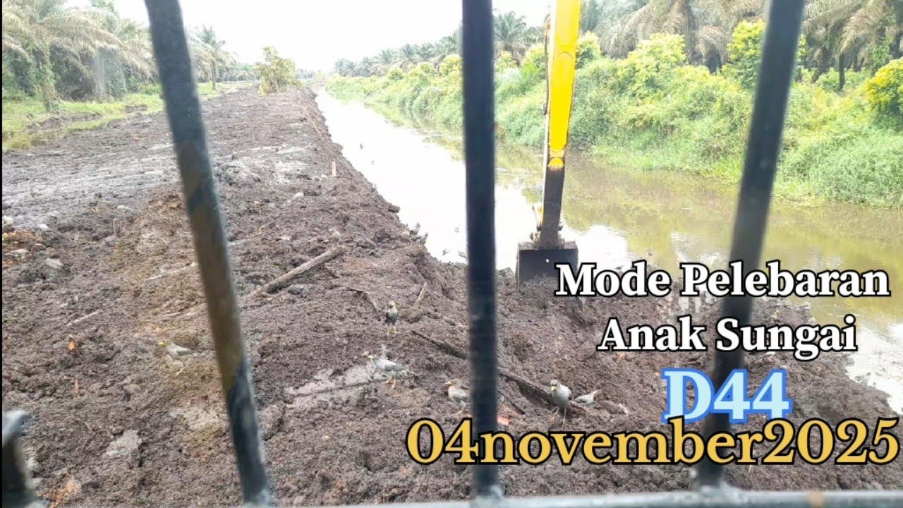 Masih Mode Pelebaran Anak Sungai 04-11-2025@yusro_kalteng 