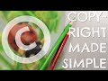 Copyright Basics For Artists | Art Advice