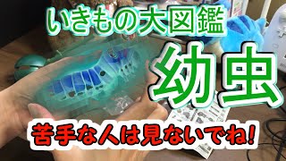 【閲覧注意】いきもの大図鑑レビュー【実写動画】