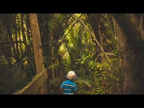 These Eye Opening Trips Can Spark Kids' Curiosity