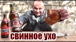 Пиво "Князь Сангушко" под свинное ушко...