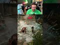 MAIS DIFÍCIL QUE O ZEUS! #shorts