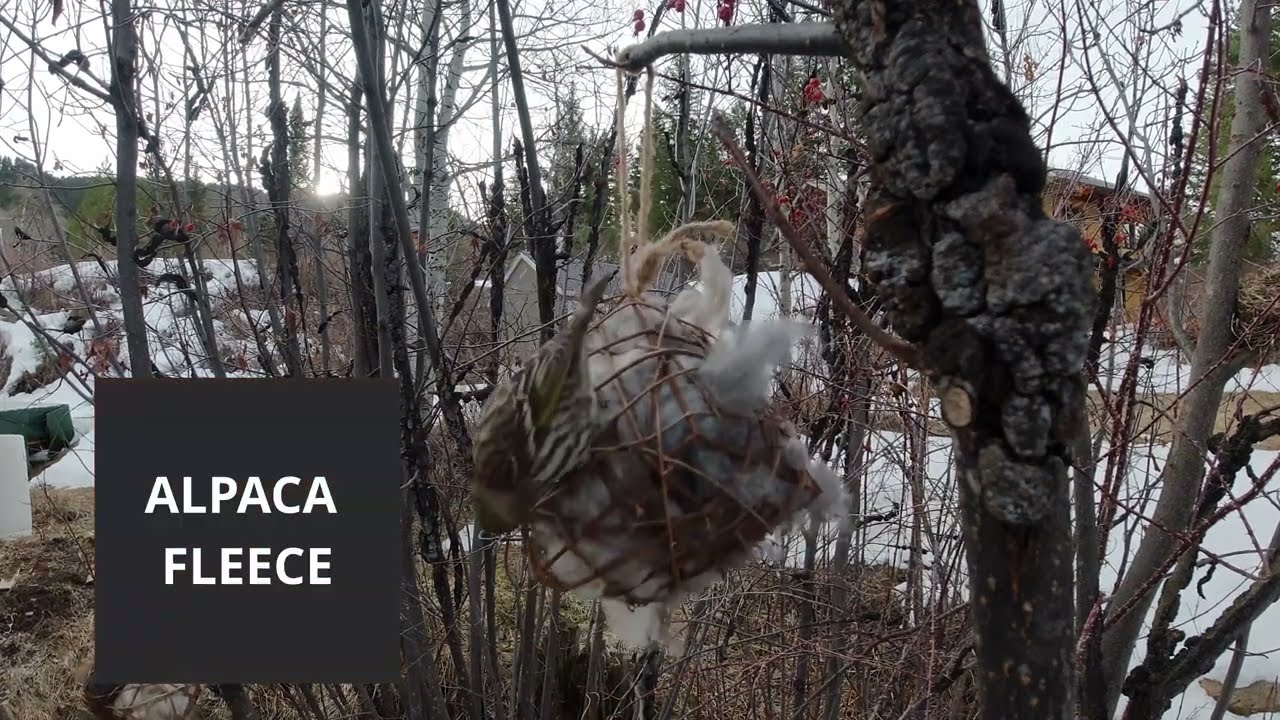 Alpaca Fleece Bird Nesting Cubes