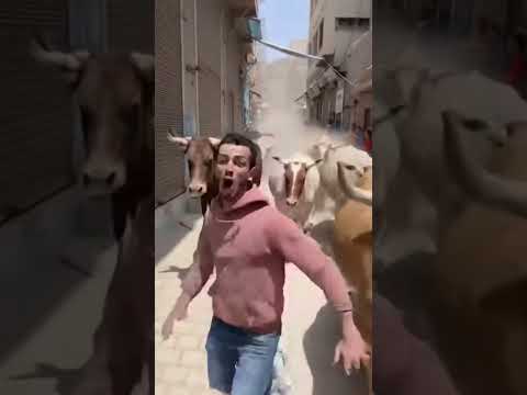 192 831 110 8670 584437 0