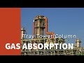 Gas Absorption: Tray tower