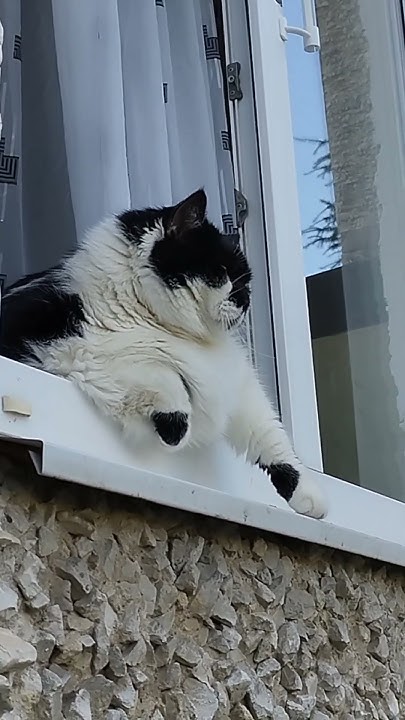 мне дома хорошо 😼👍 - YouTube