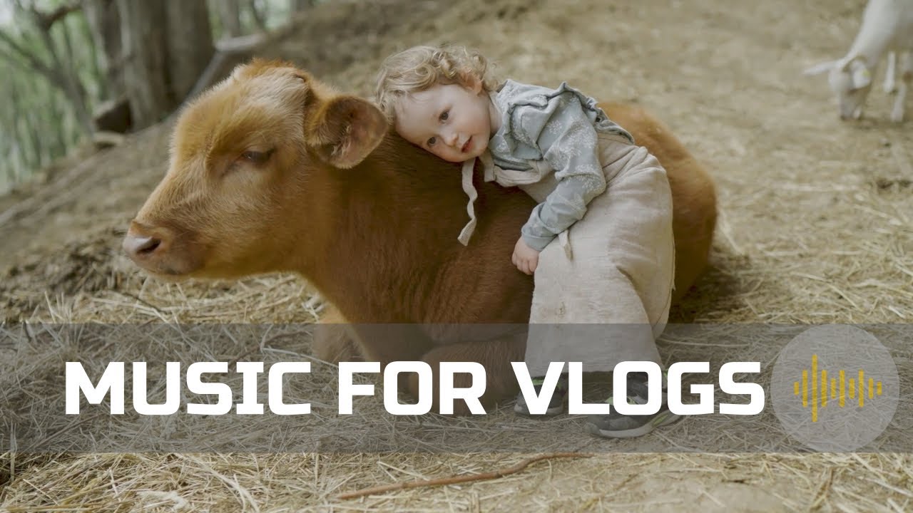 TOP 3 vlog background music / Commercial music no copyright / Royalty