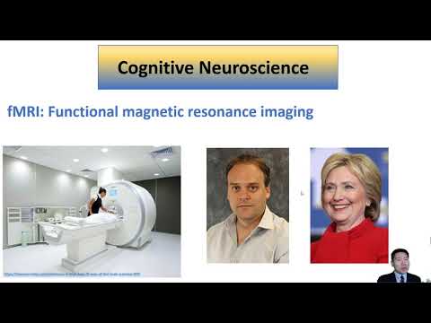 Cognitive Neuroscience