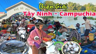 Về biên giới Tây Ninh đi chợ Gò Dầu - nhiều cá mùa nước nổi 2023