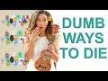 Dumb Ways To Die Easy Chords, Fingerpicking, and Play Along