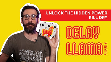 How “Kill Dry” Unlocks New Sounds on the Delay Llama XTREME!