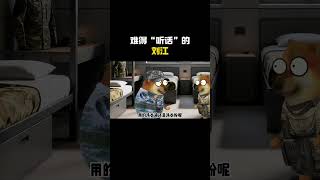 难得“听话”的刘江#cheems #cheems小剧场 #搞笑 #funny #熱門