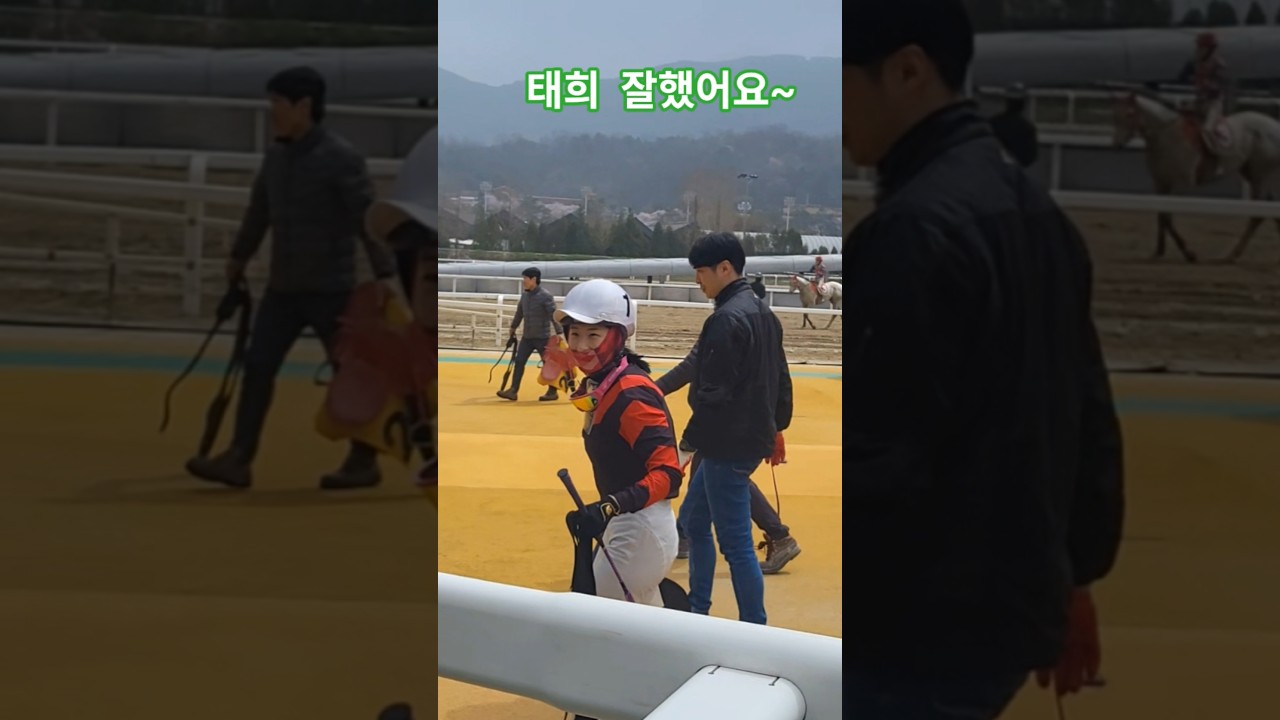 팬들의 열렬한 응원#경마 #말 # 달려라말 #shorts