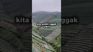 Download Lagu Ini Loh yang Membuat Kamu Berbeda banget di Hari ini!! DICOBA! MP3