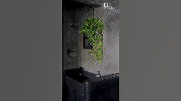 Anand Deshmukh I Mind Manifestation I Urban Cave I Pune #SnoozeSeason