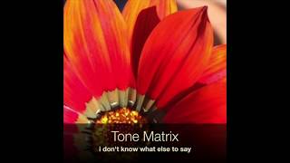 Tone Matrix - I Don't Know What Else To Say