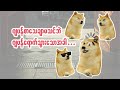 ဂျပန်စာသေချာမလုပ်ချင်တဲ့သူတွေ ဂျပန်ရောက်သောအခါ.....