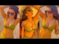 Bollywood Actress Amisha Patel - Ultimate Hot/Vertical Edit ll Indian Celebrity View ll