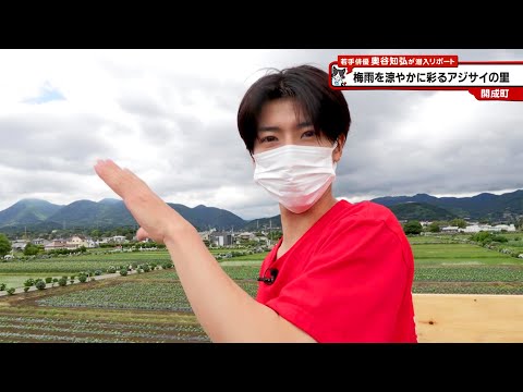 猫ひた コロレット 奥谷知弘 フォトセット 猫のひたいほどワイド #1624 リポート大賞・奥谷知弘「古着×珈琲