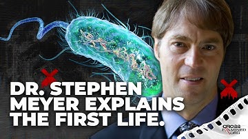 The first life and irreducible complexity with Stephen Meyer