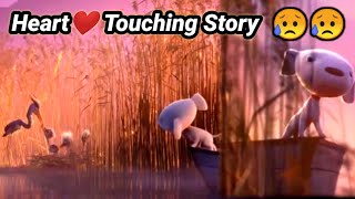 Heart touching Dog Herons story| A Joy Story: Joy and Heron Short Film by Passion Pictures Australia