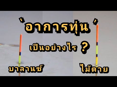 การตกปลาแบบบาลานซ์กับไม้ตาย อาการทุ่นเมื่อปลากินแตกต่างกันอย่างไร?