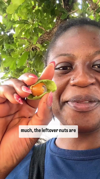 Shea butter fruit taste test